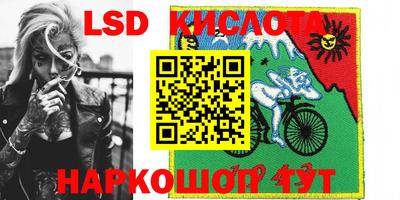 хмурый Кингисепп
