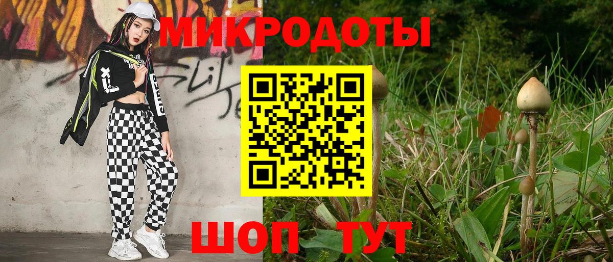Слободской  Галлюциногенные грибы GOLDEN TEACHER  Вход с VPN 